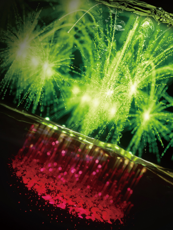 ▲Nature Biomedical Engineering 7월호 (Vol.9 No.7) 표지로 게재된 BLOOM 시스템[고대 의대 제공]